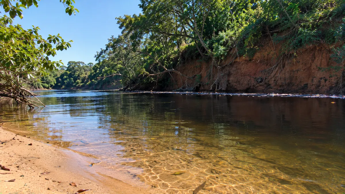 Pesca de barranco: curva de rio com barranco alto e água funda na parte externa e praia de areia rasa na parte interna