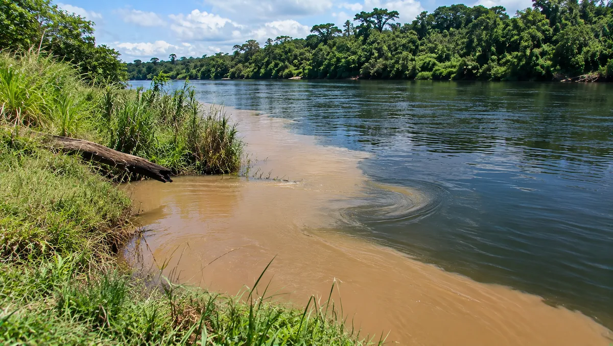 Encontro de um córrego de água barrenta com um rio de água escura, com a linha de divisa entre as duas cores bem marcada