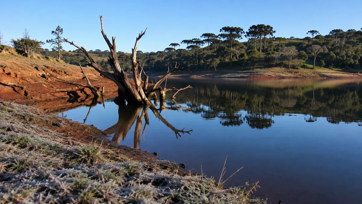 Represa de serra no inverno com água baixa, galhada seca exposta e geada na grama da margem, cenário de black bass no frio